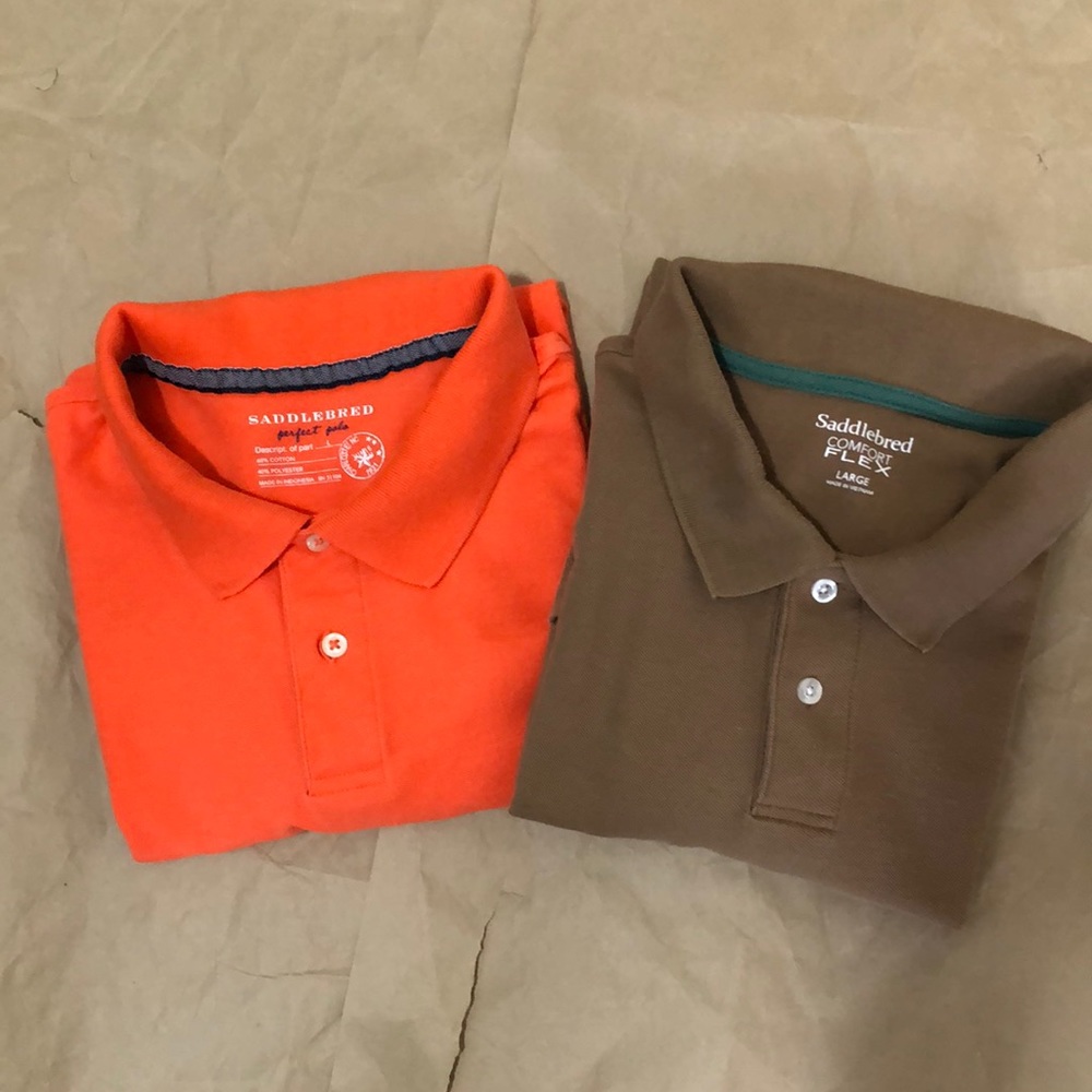 Saddlebred perfect polo